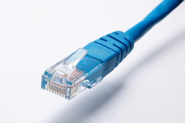 LAN�P�[�u���̉摜