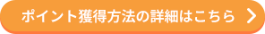 �|�C���g�l�����@�̏ڍׂ͂�����