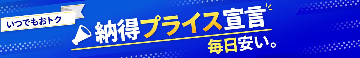 ���ł����g�N �[���v���C�X�錾 ��������